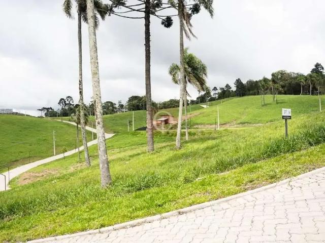 Terreno venda em Região Geográfica Imediata de São Bento do Sul-Rio Negrinho, Campo Alegre