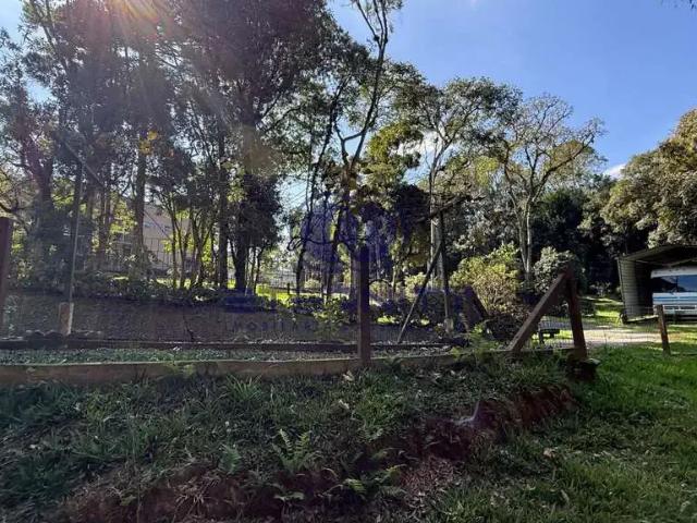 Terreno venda em Região Geográfica Imediata de São Bento do Sul-Rio Negrinho, Campo Alegre