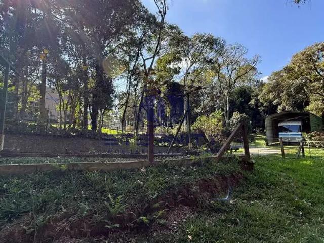 Terreno venda em Região Geográfica Imediata de São Bento do Sul-Rio Negrinho, Campo Alegre
