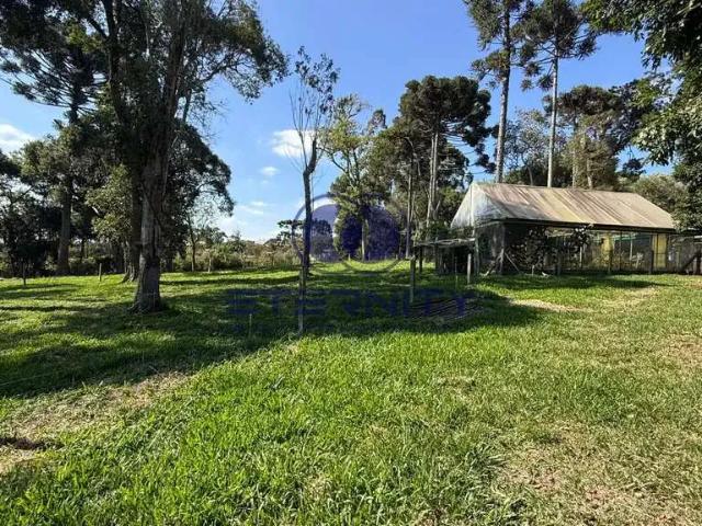 Terreno venda em Região Geográfica Imediata de São Bento do Sul-Rio Negrinho, Campo Alegre