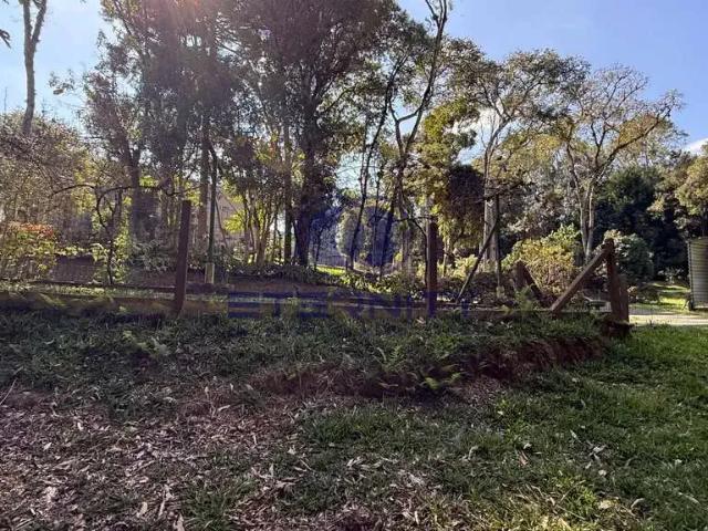 Terreno venda em Região Geográfica Imediata de São Bento do Sul-Rio Negrinho, Campo Alegre