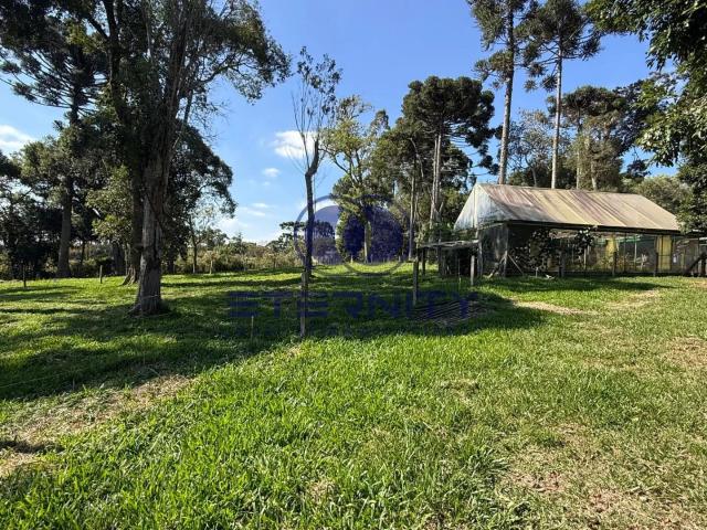 Terreno venda em Campestre, Campo Alegre