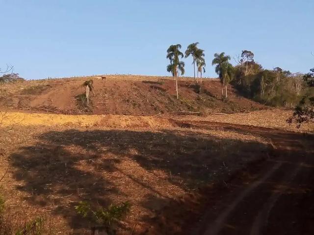 Terreno venda em Região Geográfica Imediata de São Bento do Sul-Rio Negrinho, Campo Alegre