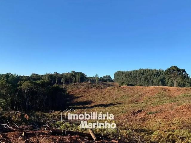 Terreno venda em Região Geográfica Imediata de São Bento do Sul-Rio Negrinho, Campo Alegre