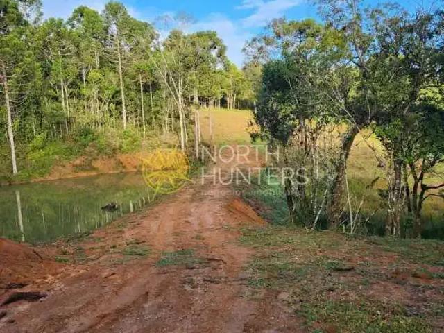 Terreno venda em Região Geográfica Imediata de São Bento do Sul-Rio Negrinho, Campo Alegre