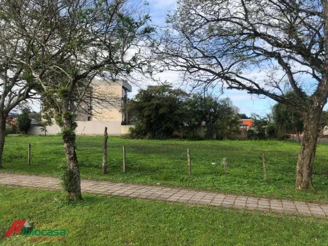 Terreno venda em Campo Bom
