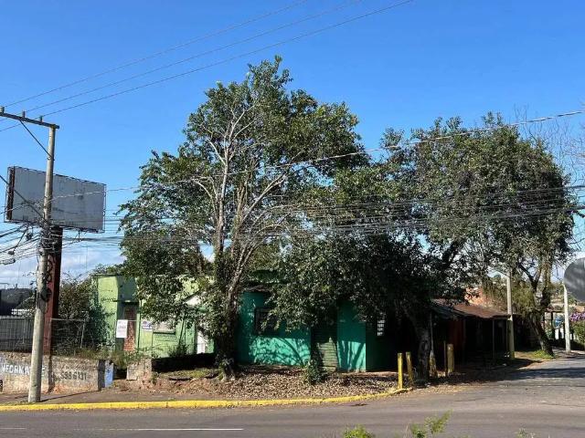 Terreno venda em Campo Bom