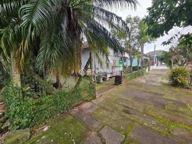 Terreno venda em Campo Bom
