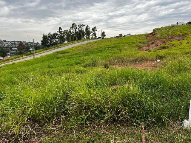 Terreno venda em Região Geográfica Imediata de Novo Hamburgo - São Leopoldo, Região Metropolitana de Porto Alegre