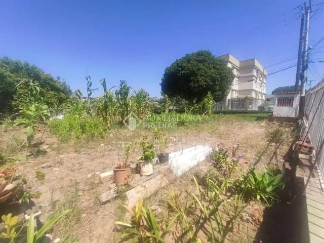 Terreno venda em Região Geográfica Imediata de Novo Hamburgo - São Leopoldo, Região Metropolitana de Porto Alegre