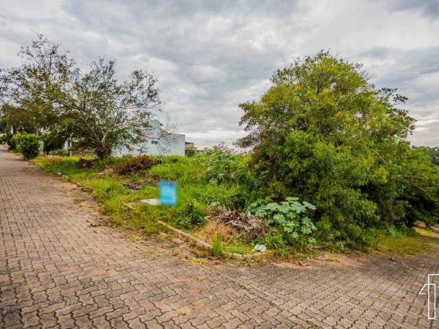Terreno venda em Campo Bom