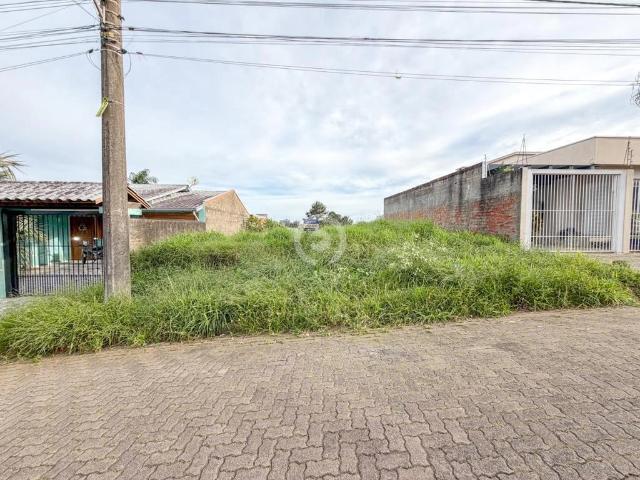 Terreno venda em Campo Bom