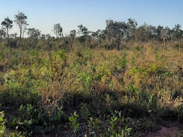 Terreno venda em Região Geográfica Imediata de Campo Grande, Campo Grande