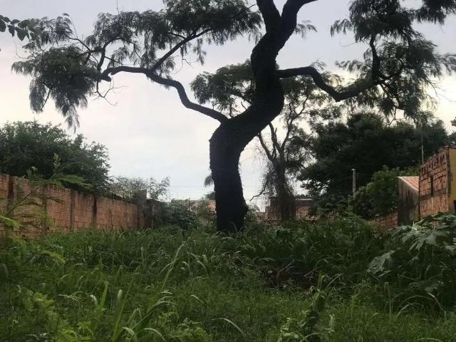 Terreno venda em Região Geográfica Imediata de Campo Grande, Campo Grande