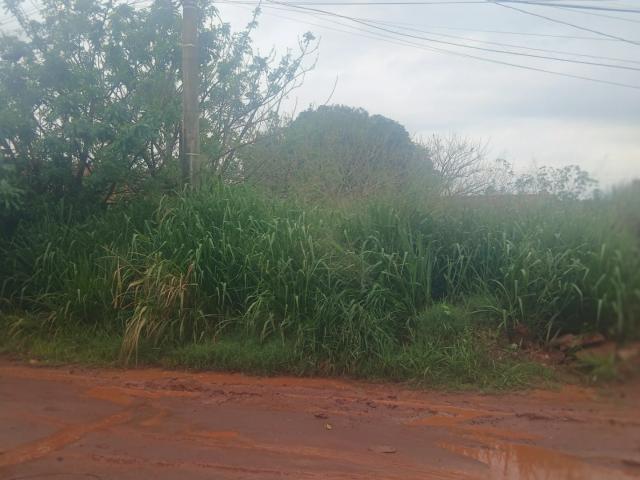 Terreno venda em José Prates, Campo Grande