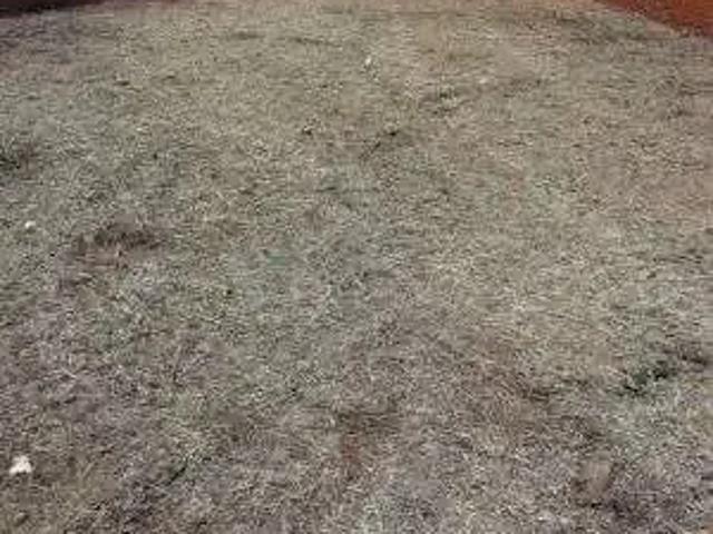 Terreno venda em Região Geográfica Imediata de Campo Grande, Campo Grande