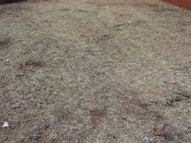 Terreno venda em Dorisa, Campo Grande