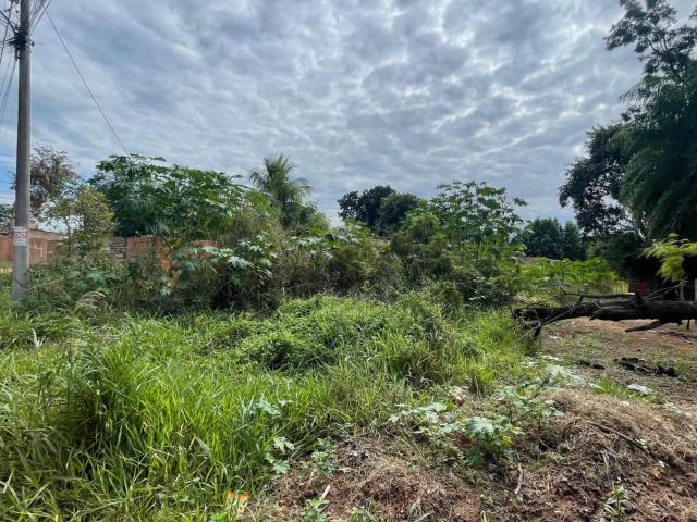 Terreno venda em Los Angeles, Campo Grande
