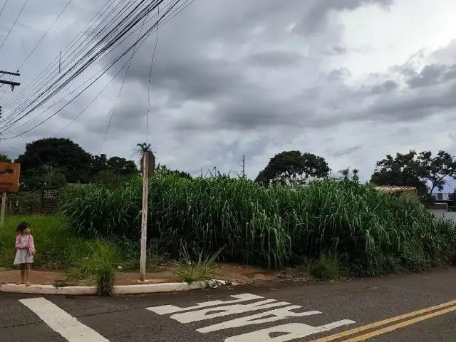 Terreno venda em Região Geográfica Imediata de Campo Grande, Campo Grande