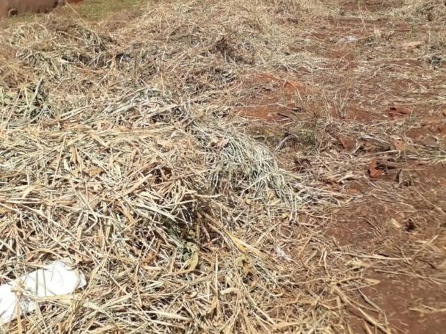 Terreno venda em Região Geográfica Imediata de Campo Grande, Campo Grande