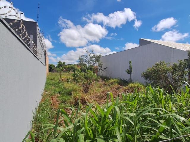 Terreno venda em Região Geográfica Imediata de Campo Grande, Campo Grande