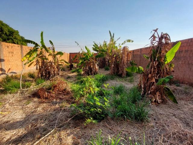 Terreno venda em Região Geográfica Imediata de Campo Grande, Campo Grande
