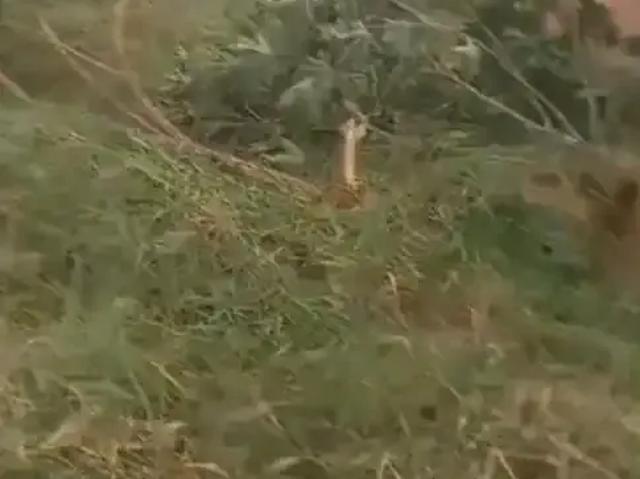 Terreno venda em Região Geográfica Imediata de Campo Grande, Campo Grande