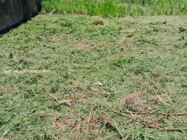 Terreno venda em Feliciana Carolina, Campo Grande