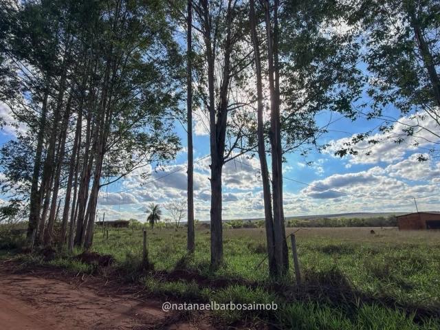 Terreno venda em Campo Grande