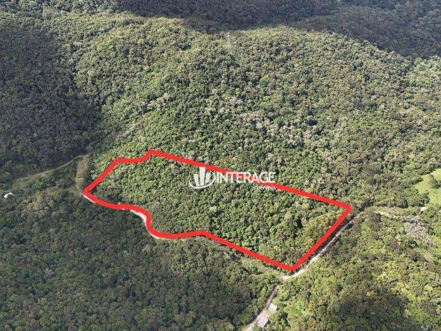 Terreno venda em Bateias, Campo Largo