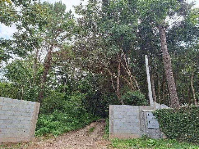 Terreno venda em Região Geográfica Imediata de Curitiba, Região Metropolitana de Curitiba