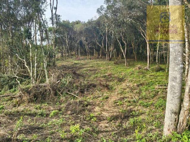 Terreno venda em Salgadinho, Campo Largo