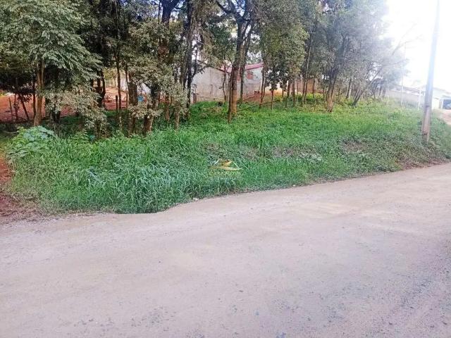 Terreno venda em Região Geográfica Imediata de Curitiba, Região Metropolitana de Curitiba