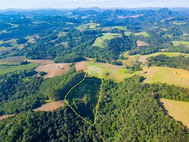 Terreno venda em Região Geográfica Imediata de Curitiba, Região Metropolitana de Curitiba