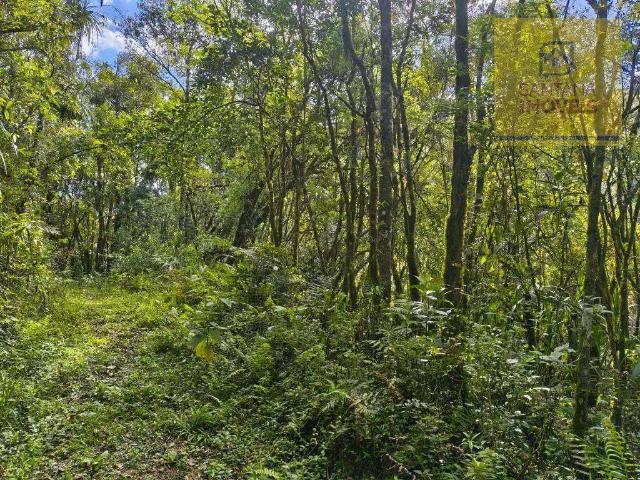 Terreno venda em Bateias, Campo Largo
