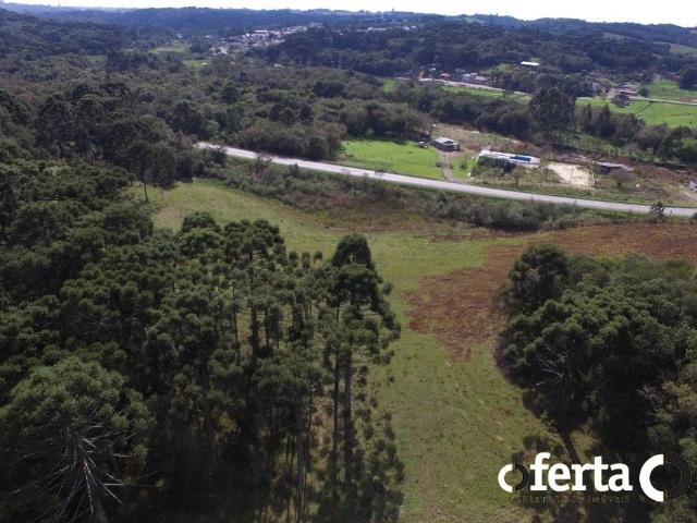 Terreno venda em Campo Largo, Região Geográfica Intermediária de Curitiba