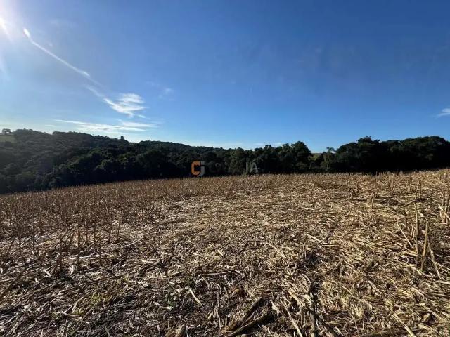 Terreno venda em Região Geográfica Imediata de Curitiba, Região Metropolitana de Curitiba