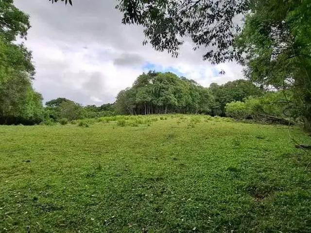 Terreno venda em Região Geográfica Imediata de Curitiba, Região Metropolitana de Curitiba