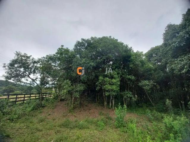 Terreno venda em Região Geográfica Imediata de Curitiba, Região Metropolitana de Curitiba