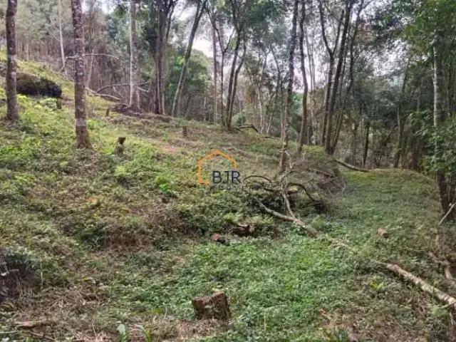 Terreno venda em Região Geográfica Imediata de Curitiba, Região Metropolitana de Curitiba