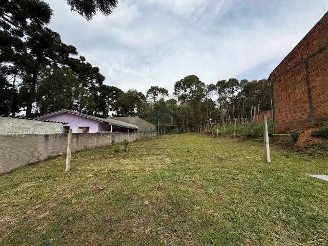 Terreno venda em Águas Claras, Campo Largo