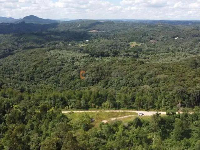 Terreno venda em Região Geográfica Imediata de Curitiba, Região Metropolitana de Curitiba