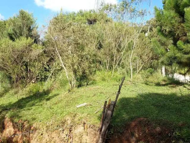 Terreno venda em Região Geográfica Imediata de Curitiba, Região Metropolitana de Curitiba