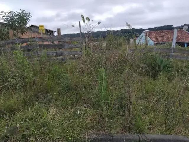 Terreno venda em Região Geográfica Imediata de Curitiba, Região Metropolitana de Curitiba