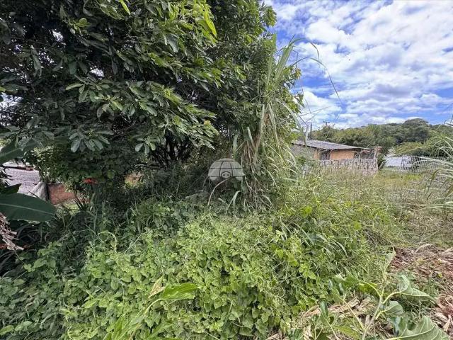 Terreno venda em Região Geográfica Imediata de Curitiba, Região Metropolitana de Curitiba