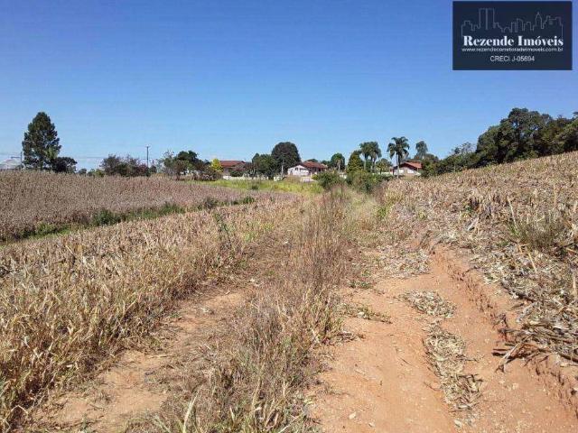 Terreno venda em Rondinha, Campo Largo