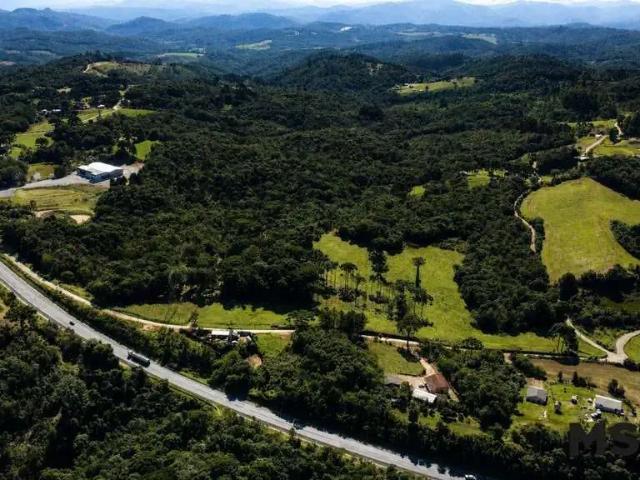 Terreno venda em Região Geográfica Imediata de Curitiba, Região Metropolitana de Curitiba