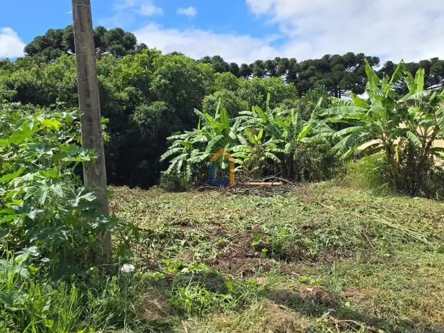 Terreno venda em Região Geográfica Imediata de Curitiba, Região Metropolitana de Curitiba