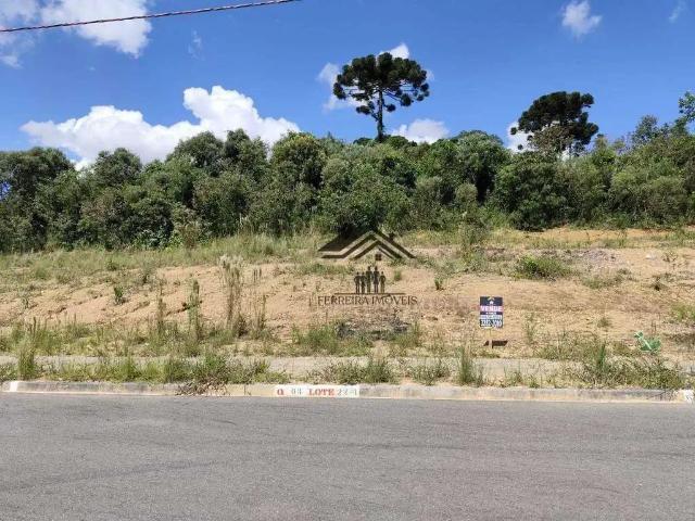 Terreno venda em Região Geográfica Imediata de Curitiba, Região Metropolitana de Curitiba