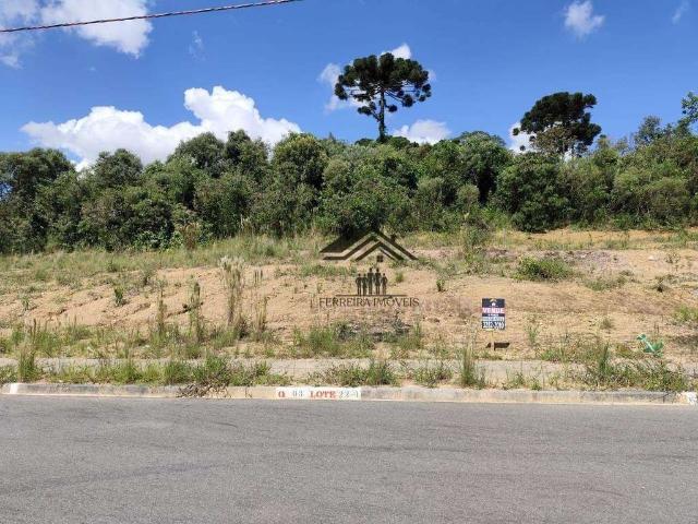 Terreno venda em Região Geográfica Imediata de Curitiba, Região Metropolitana de Curitiba